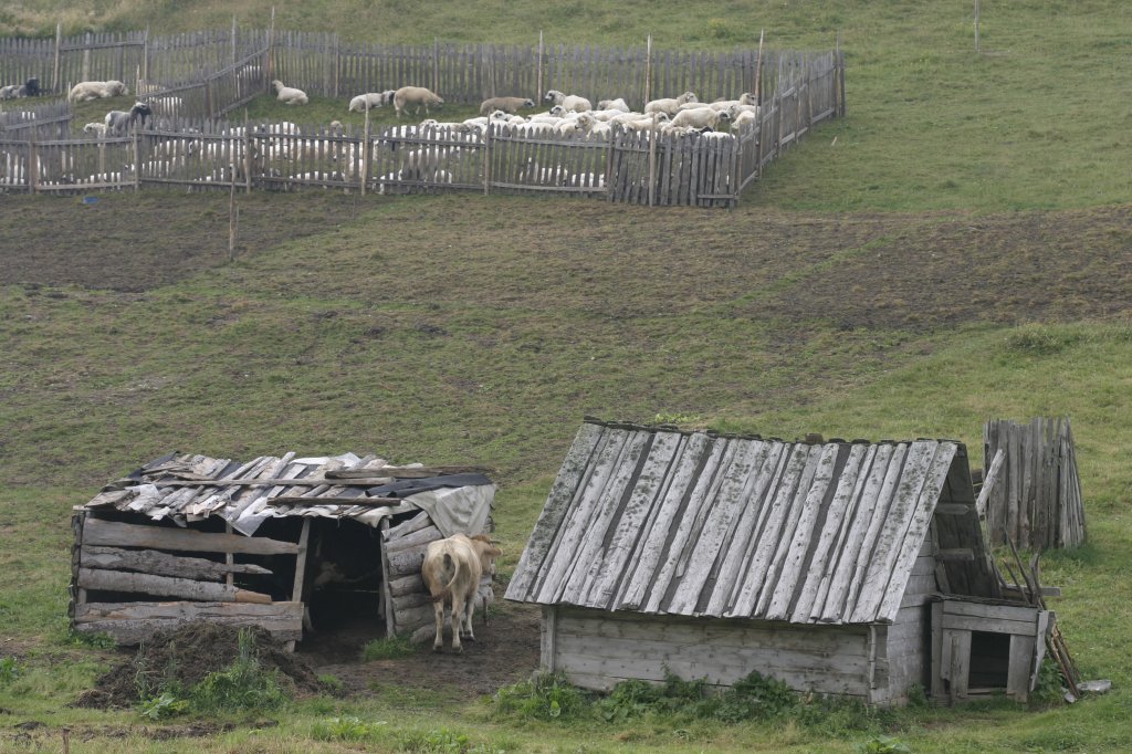 obrzek